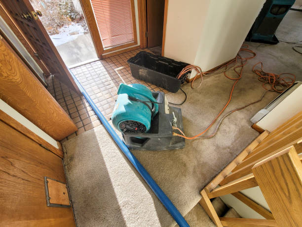 Best Mold removal after water damage  in Dover, NH