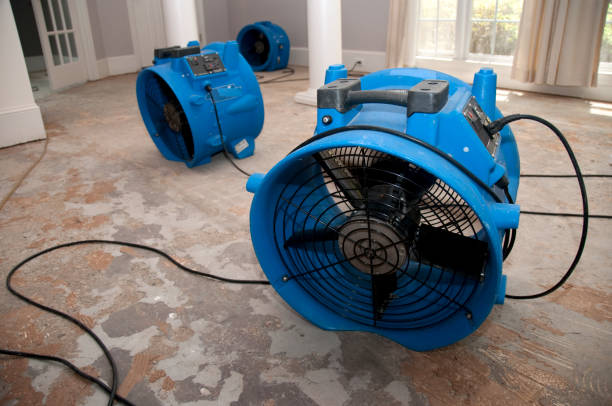 Best Carpet water damage restoration  in Dover, NH