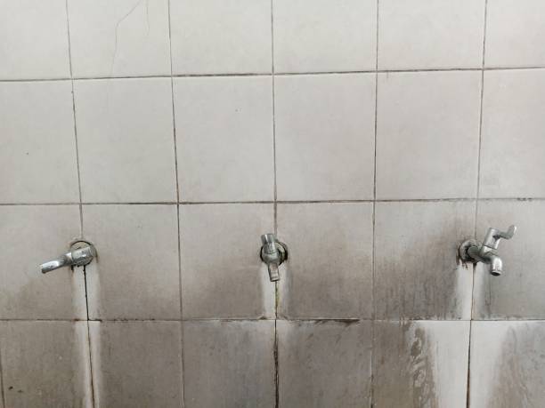 Best Flood damage cleanup  in Dover, NH