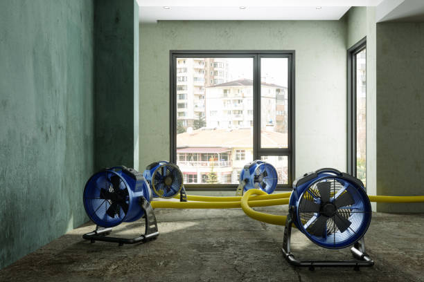 Best Water damage restoration company  in Dover, NH